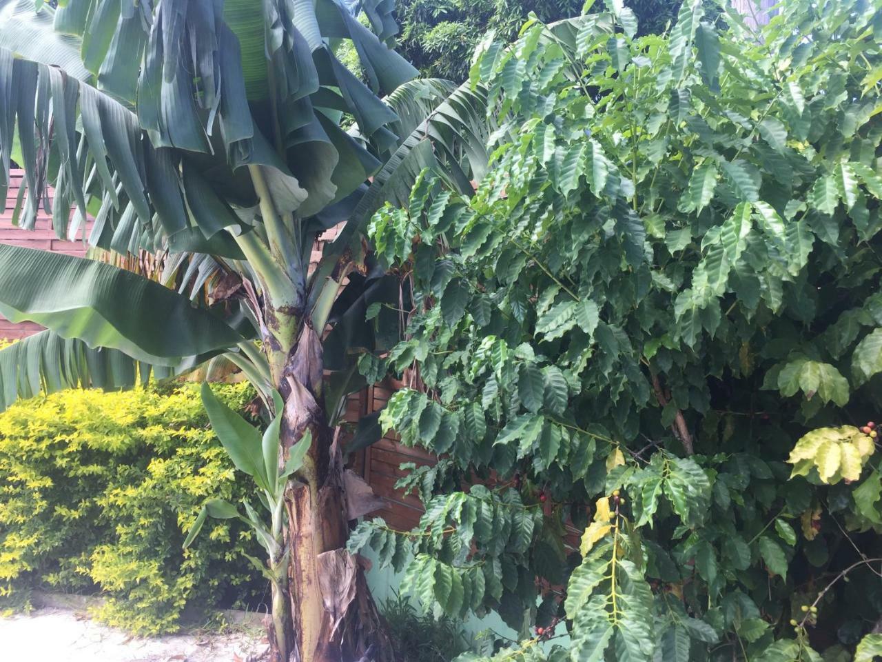 Vyvyrun974 Lägenhet Les Cocos Exteriör bild